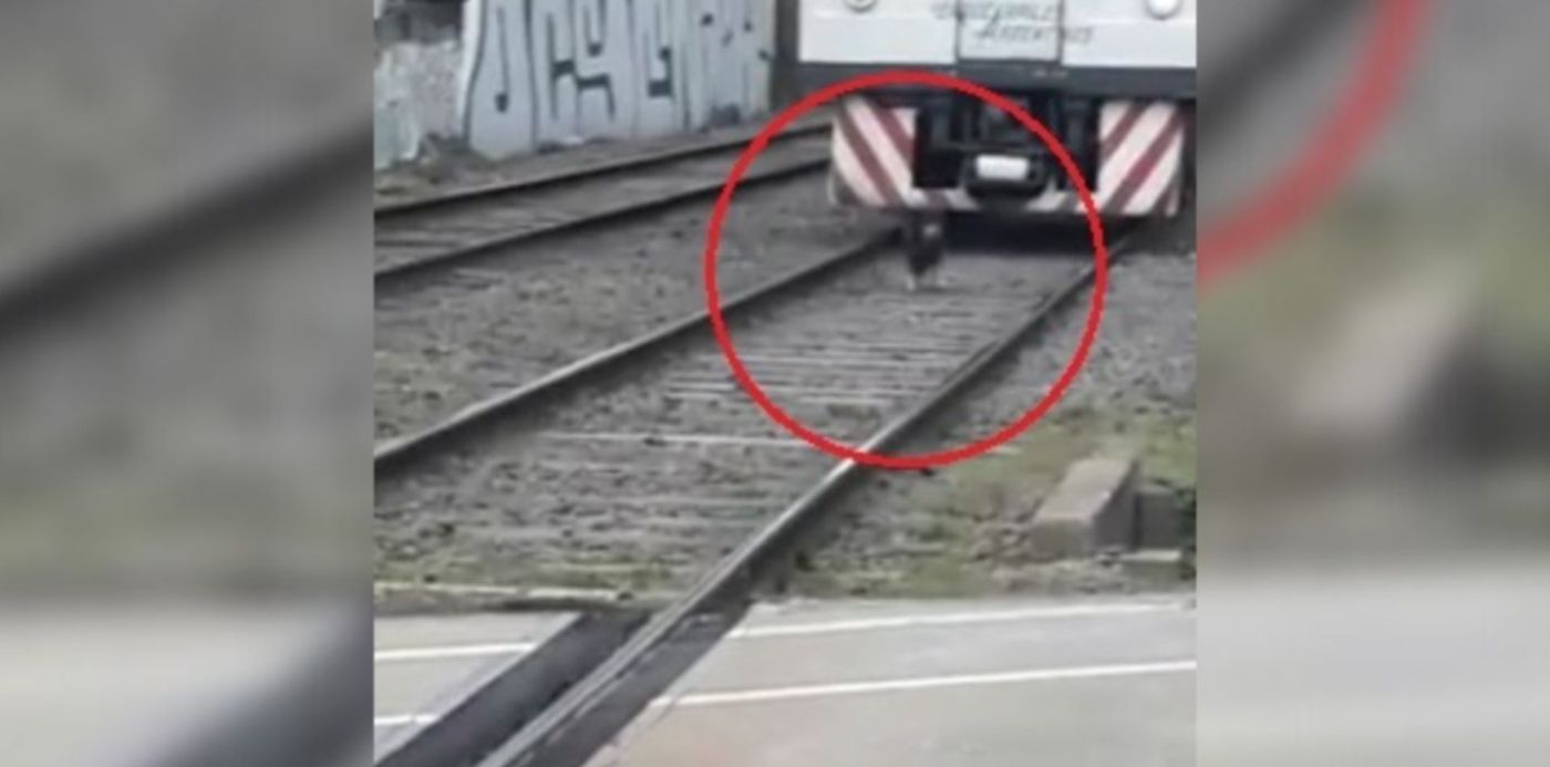 1630582371070.jpg?x=27&y=15&width=1279&height=639&rotate=0&scaleX=1&scaleY=1&ow=1350&oh=650&&cw=1920&ch=950