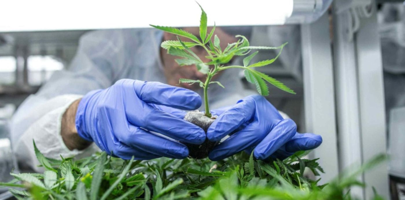 1568645583454.jpg?x= 7&y=107&width=1507&height=753&rotate=0&scaleX=1&scaleY=1&ow=1500&oh=1000&&cw=1920&ch=950