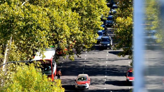 dia por dia, asi va a estar el clima esta semana en la plata