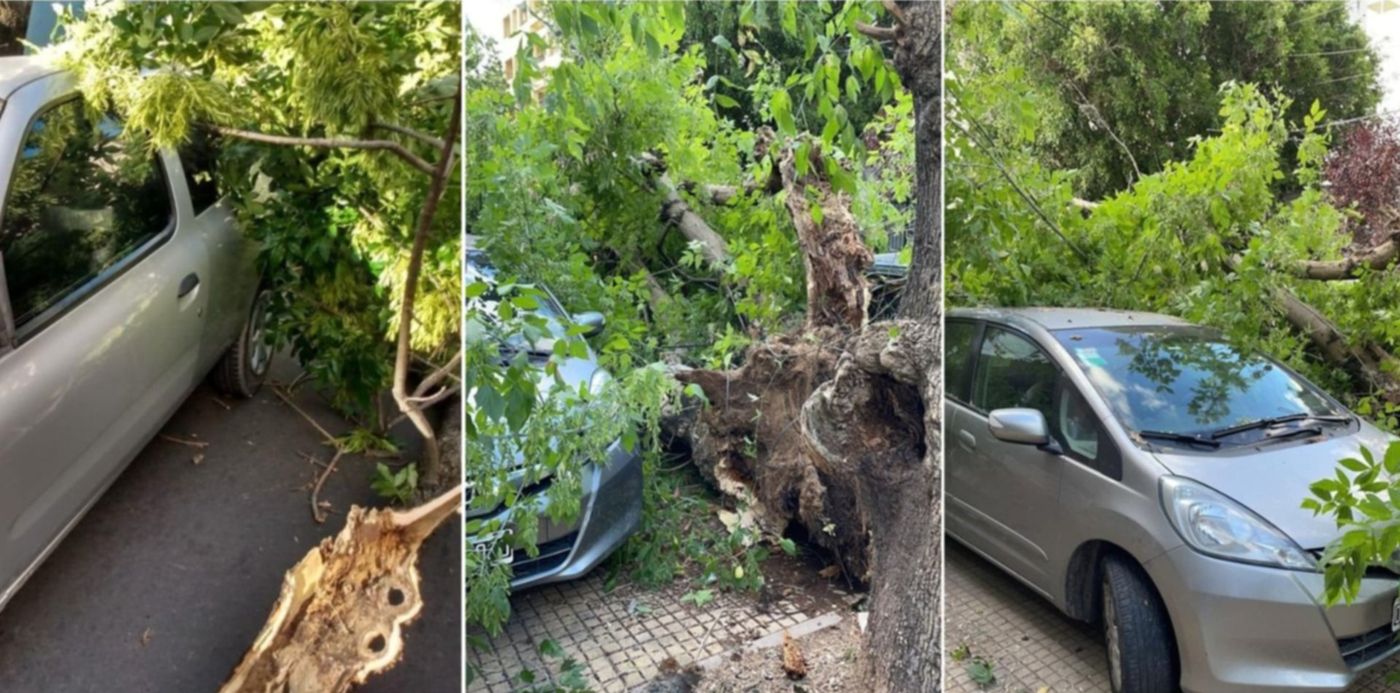 1608414052586.jpg?x=18&y=3&width=1464&height=732&rotate=0&scaleX=1&scaleY=1&ow=1500&oh=742&&cw=1920&ch=950