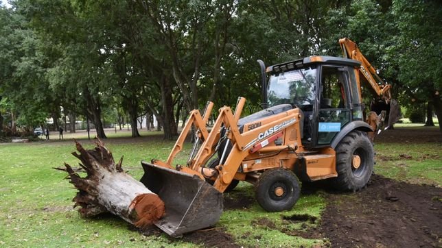 con luces led y nuevos juegos, avanza la renovacion de parque san martin
