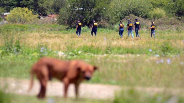 ¿que se sabe de los restos humanos hallados en un descampado de la plata?