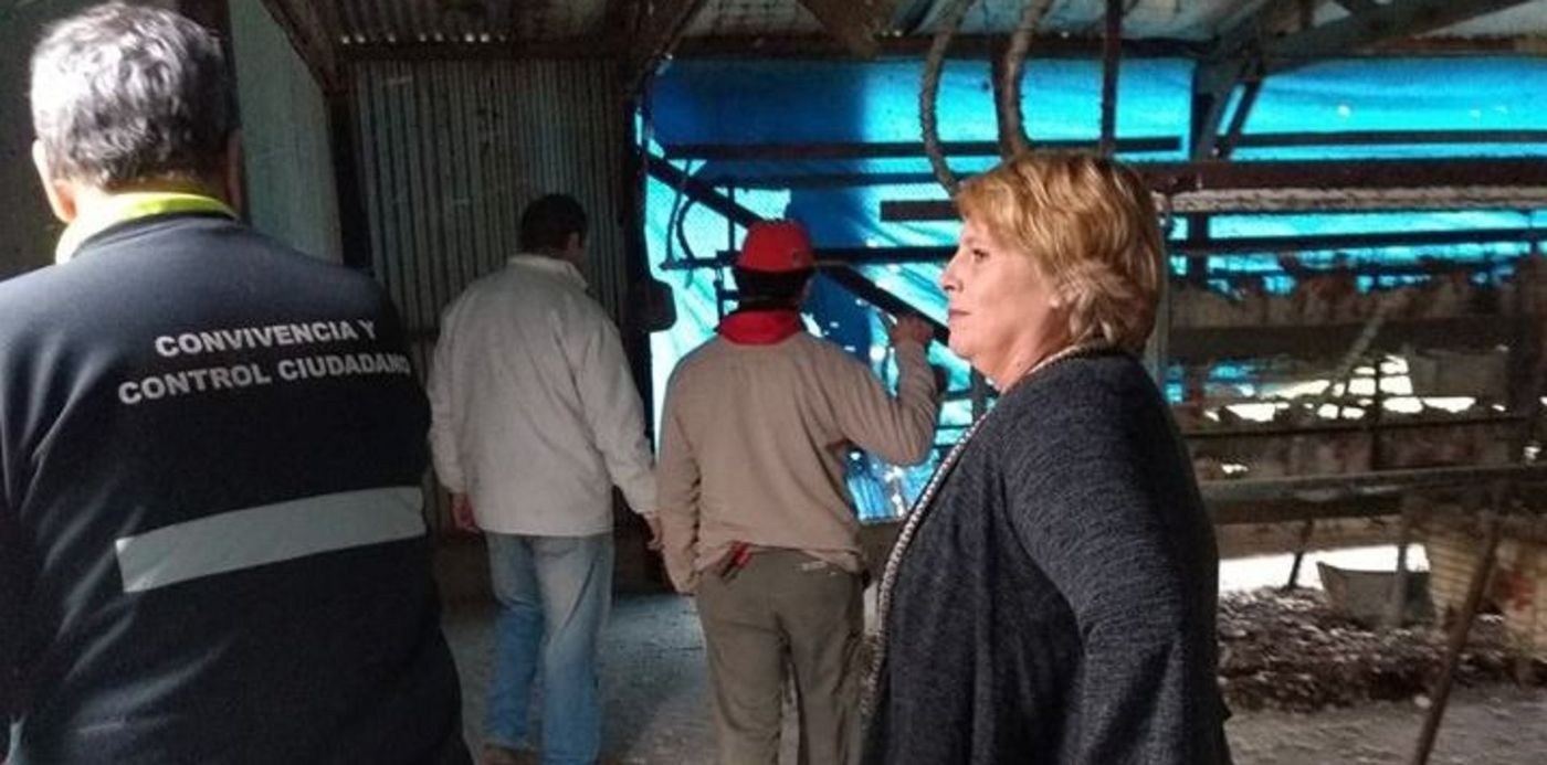 1593014046118.jpg?x= 1&height=358&scaleX=1&scaleY=1&ow=720&y=21&width=716&rotate=0&oh=447&&cw=1920&ch=950