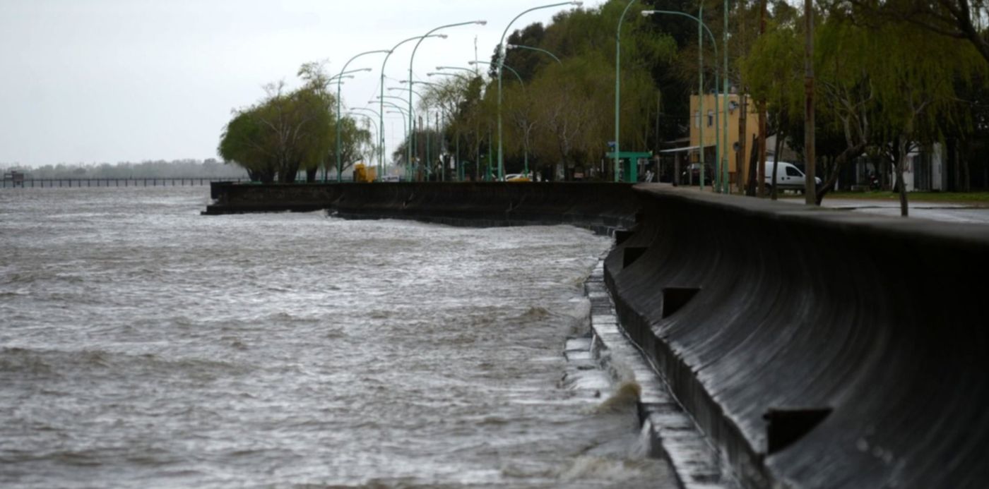 1569962905631.jpg?rotate=0&scaleY=1&x=6&height=742&scaleX=1&ow=1500&oh=897&y=46&width=1484&&cw=1920&ch=950