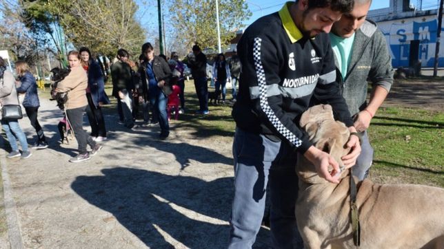 se viene una nueva jornada de vacunacion gratuita en la plaza para perros y gatos