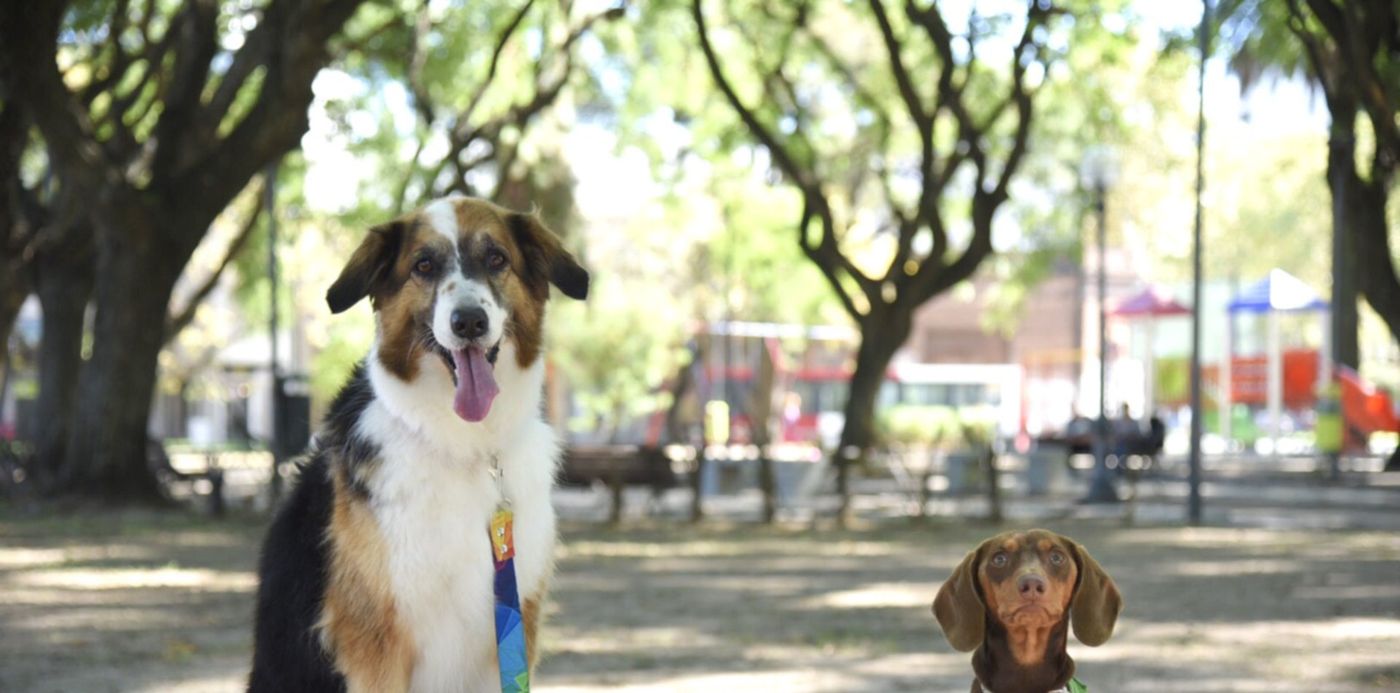 1525631808508.jpg?&cw=1920&ch=950