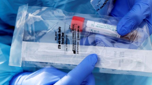 las cinco hipotesis que explican por que existen los nunca covid-19