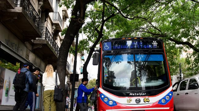 sube el boleto de micro en la plata, berisso y ensenada: ¿cuanto costara desde mayo?
