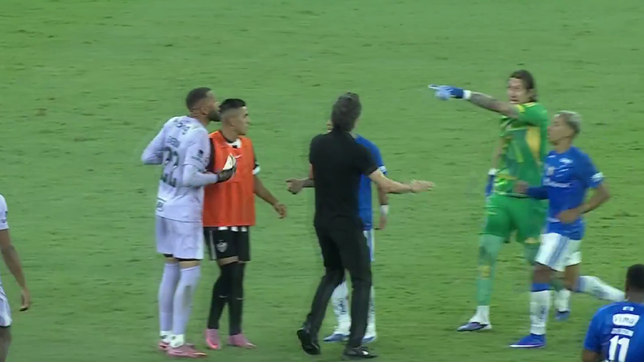 la reaccion de dominguez en medio de la batalla campal entre cruzeiro y mineiro