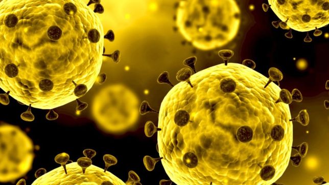 cientificosdel conicet buscan soluciones desde la optica para acelerar los tests de covid