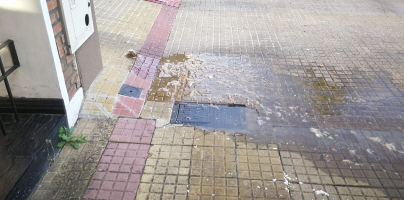 1547215683477.jpeg?x=22&y=227&width=1245&height=622&rotate=0&scaleX=1&scaleY=1&ow=1280&oh=960&&cw=1920&ch=950