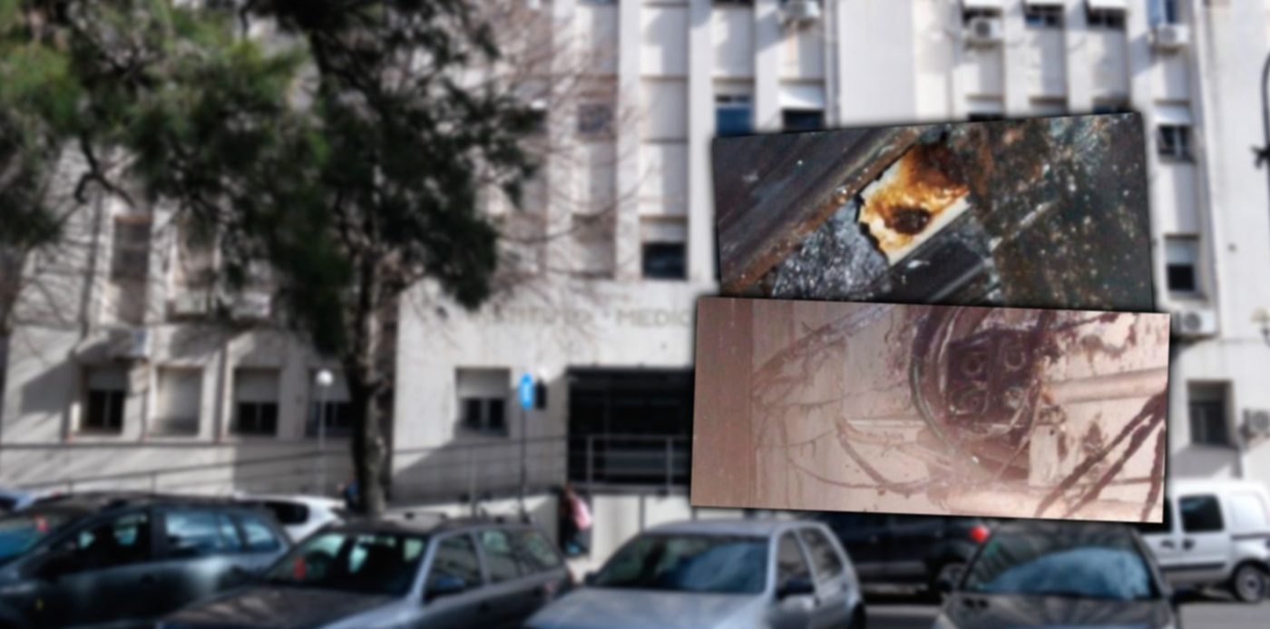 1687892761384.jpg?x=8&y=0&width=1484&height=742&rotate=0&scaleX=1&scaleY=1&ow=1500&oh=742&&cw=1920&ch=950