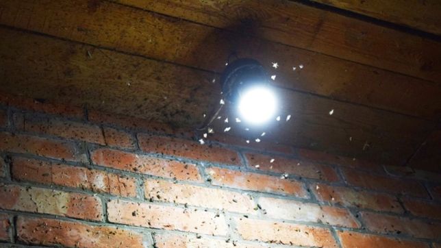 la luz se restablece de a poco en el centro, gonnet, city bell y otros puntos de la plata
