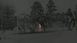 seis historias cortas y sorprendentes para recordar a diego maradona en el bosque seis historias cortas y sorprendentes para recordar a diego maradona en el bosque