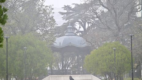 Renovaron la advertencia violeta en La Plata por fuertes bancos de niebla y poca visibilidad