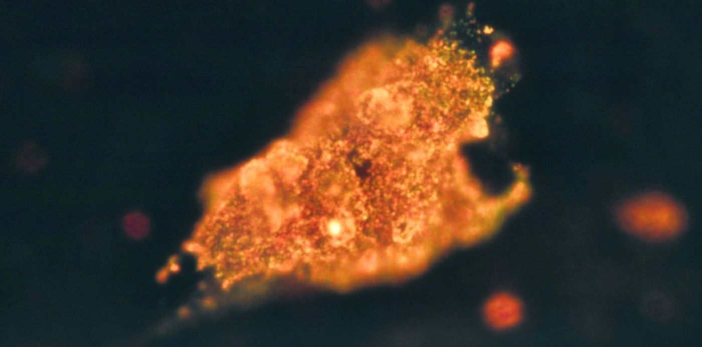 1564600341346.jpg?y=138&width=1496&rotate=0&x=2&height=748&scaleX=1&scaleY=1&ow=1500&oh=1010&&cw=1920&ch=950