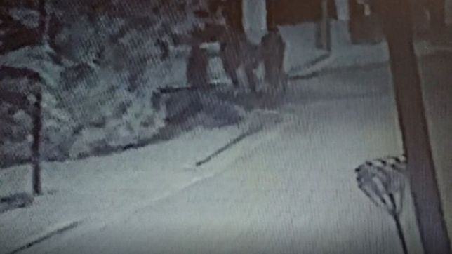video: en manada y con un ladron de campana, asi actuaba la banda que hacia entraderas en la plata