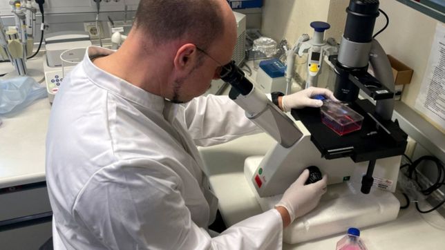 aseguran que todos los casos detectados de viruela del mono tienen un origen comun