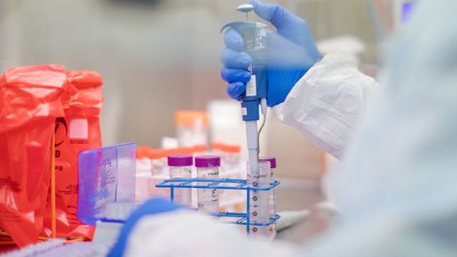 kraken, la nueva mutacion de la variante omicron del covid, ya esta en chile y brasil