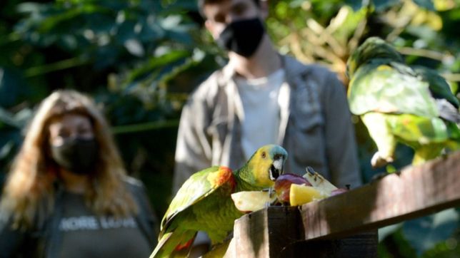 estudiantes de la unlp haran practicas en el bioparque y el parque ecologico
