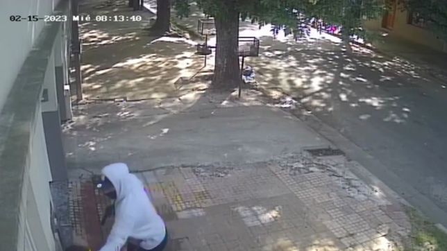 video: asi fue la brutal entradera armada a una empleada domestica en la plata