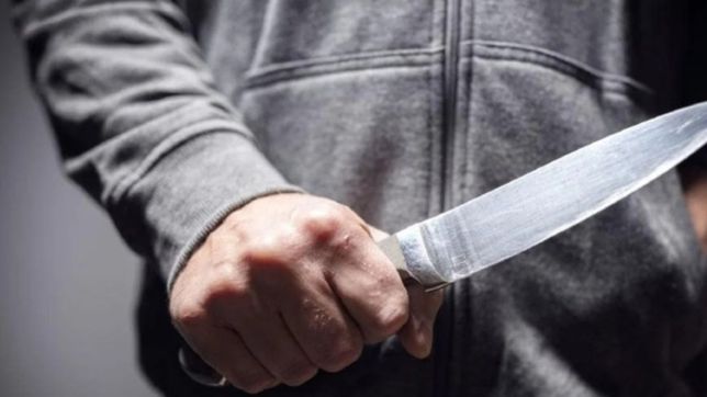 fue sorprendido robando en una casa de la plata y ataco a los policias con una cuchilla