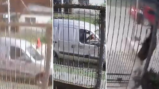 el otro robo que conmociona a la plata: un hombre fue arrastrado por un delincuente que se llevo su camioneta