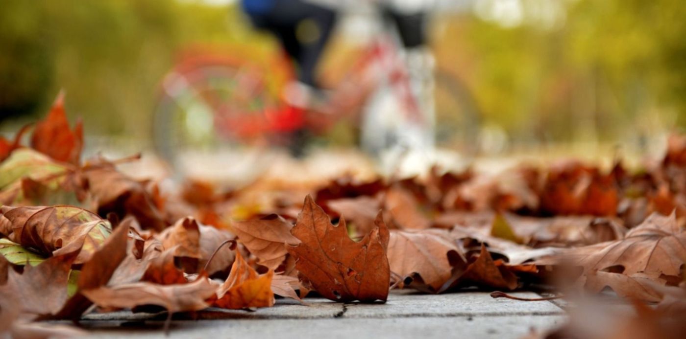 1557516588883.jpg?ow=1500&y=315&width=1490&scaleX=1&scaleY=1&x=9&height=745&rotate=0&oh=1060&&cw=1920&ch=950