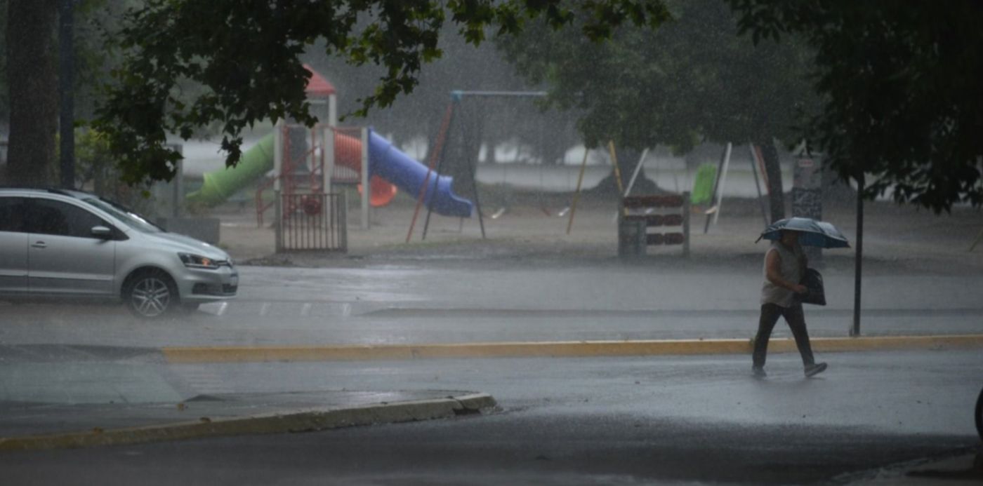 1577720486761.jpg?x=21&y=263&width=1465&height=733&rotate=0&scaleX=1&scaleY=1&ow=1500&oh=996&&cw=1920&ch=950