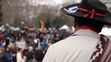 Desfile tradicionalista