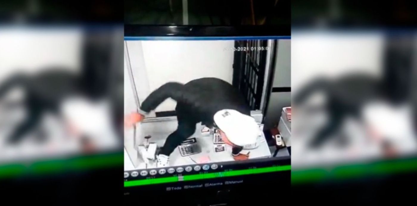 1634852640775.jpg?x=75&y=7&width=1350&height=675&rotate=0&scaleX=1&scaleY=1&ow=1500&oh=689&&cw=1920&ch=950