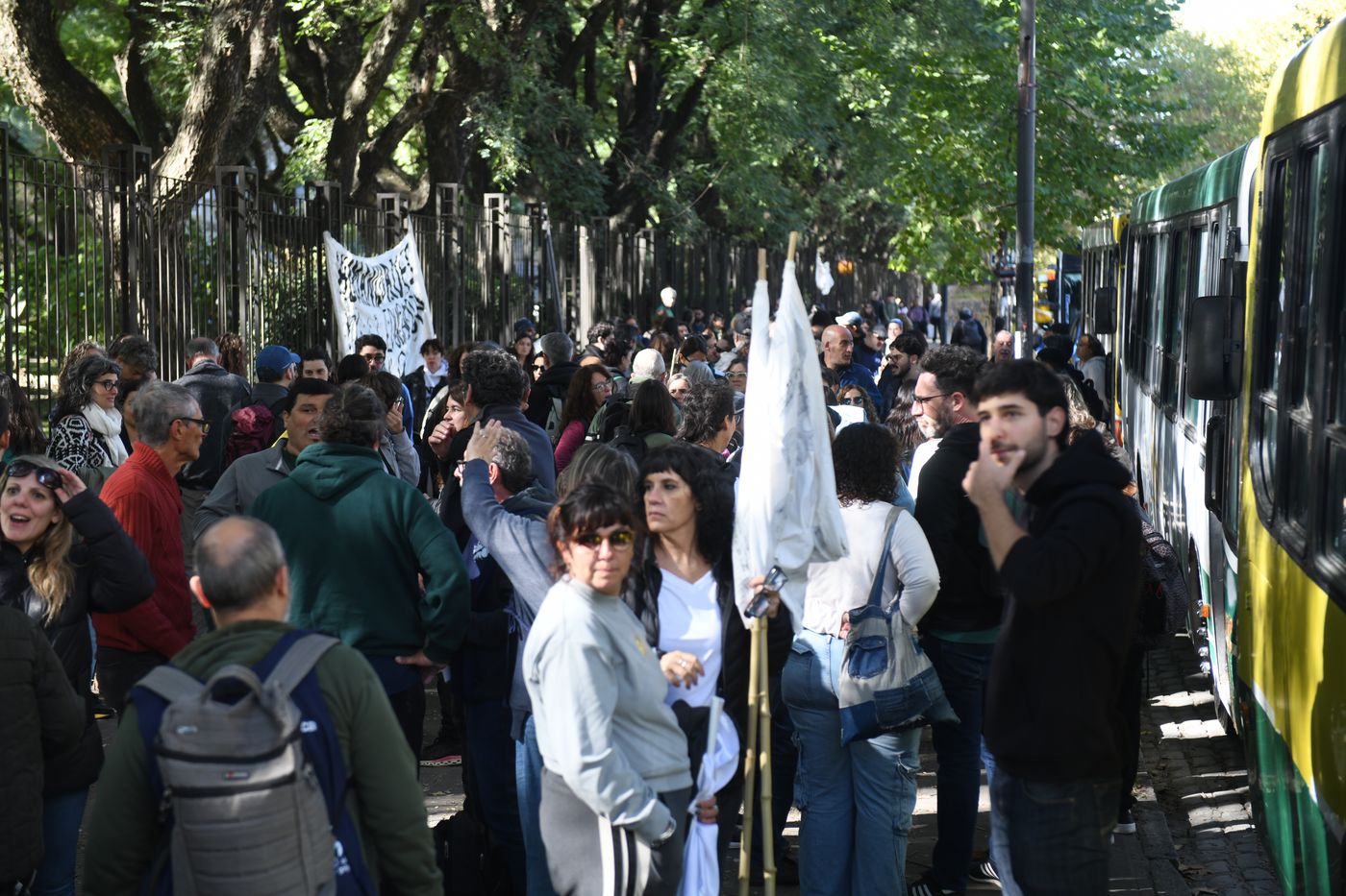 Marcha Federal Universitaria (3)