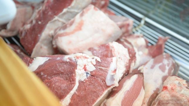 desde hoy se pueden comprar los cortes populares de carne: ¿donde se consiguen?