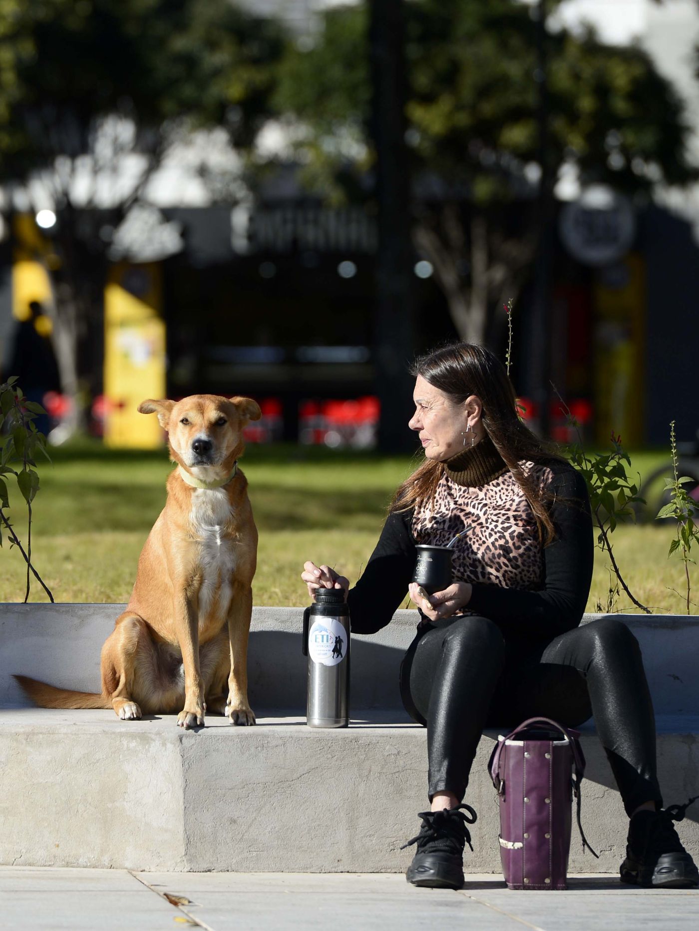 Plaza Italia Perro (2).jpg