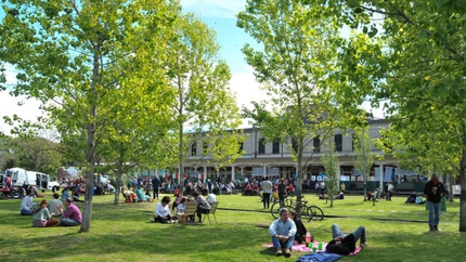 Una escuela de La Plata celebra el Día del Árbol con una gran plantación en Meridiano V
