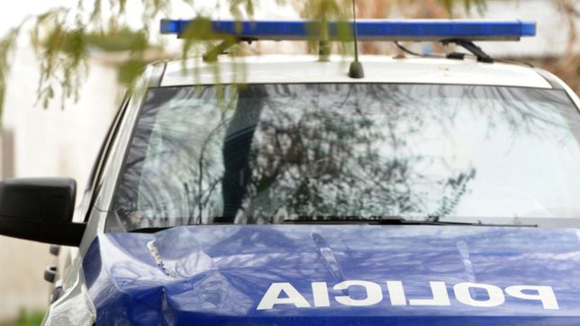 violento robo en la plata: apalearon a los perros y se llevaron los ahorros de una familia