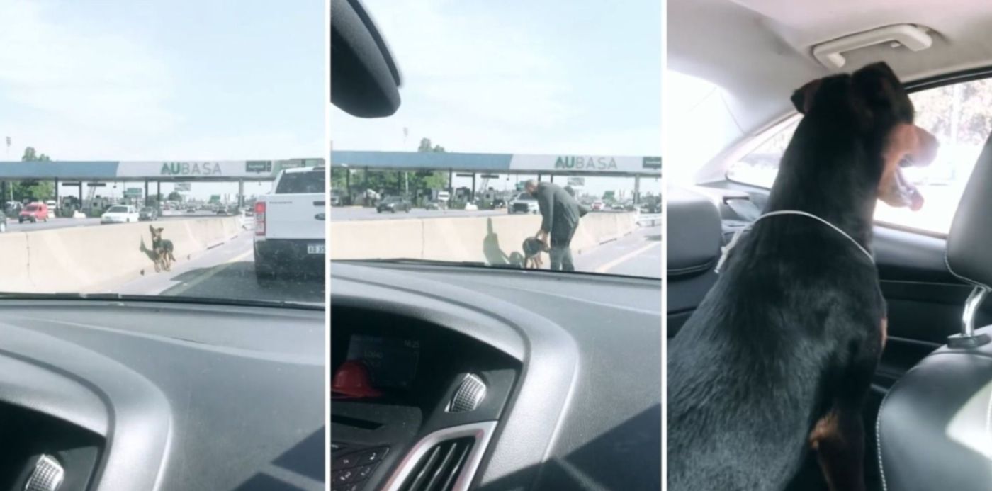 1641473585763.jpg?x=8&y=0&width=1484&height=742&rotate=0&scaleX=1&scaleY=1&ow=1500&oh=742&&cw=1920&ch=950