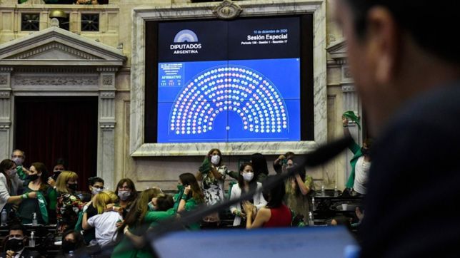 otro abogado platense planteo la inconstitucionalidad del aborto legal