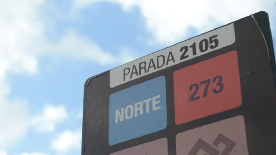 ¿Qué líneas de micro vuelven a circular con horario normal en La Plata?