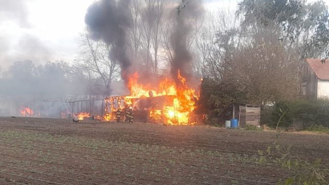panico en la plata: un incendio arraso con las viviendas de una familia de quinteros