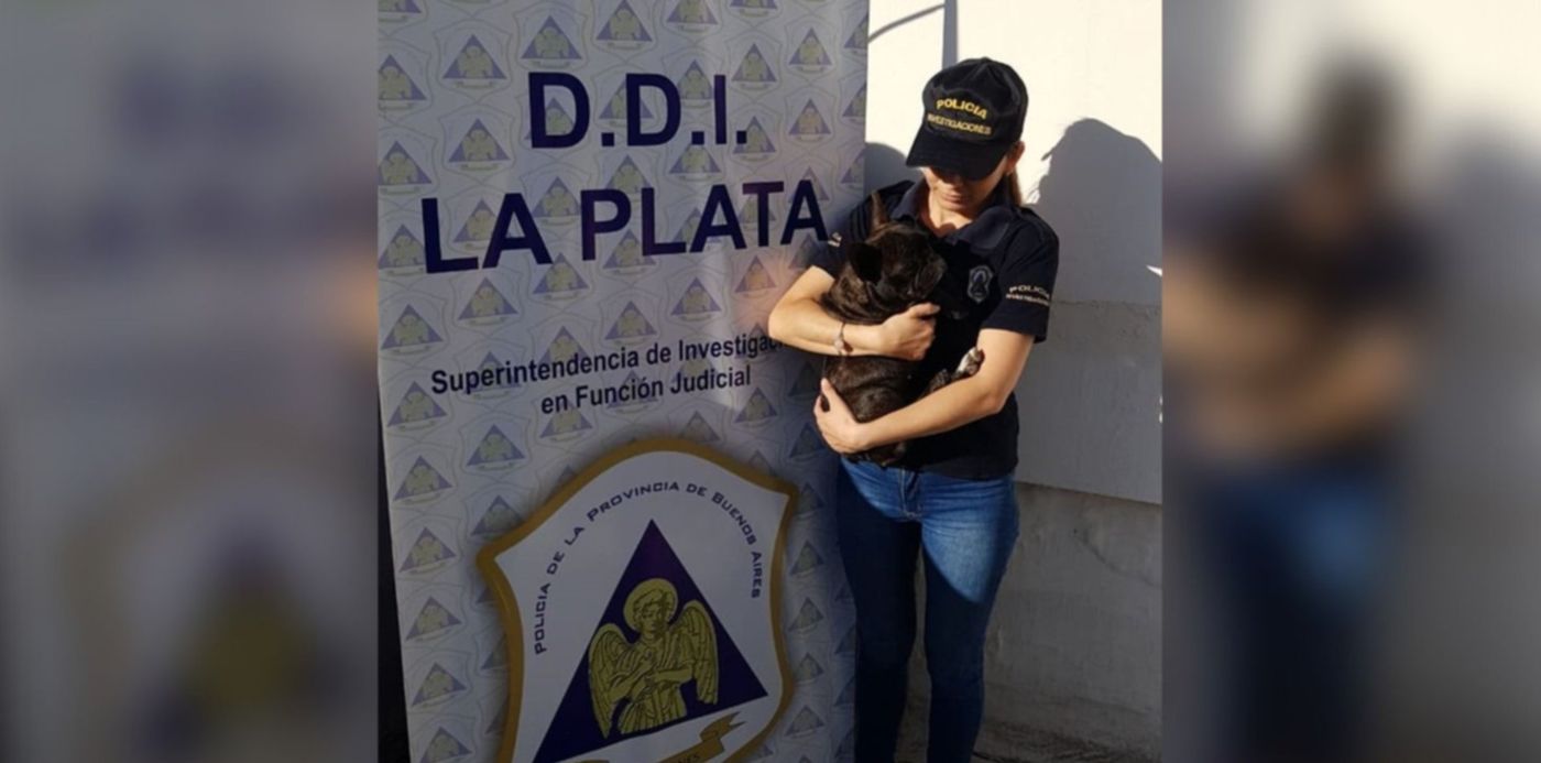 1542377024133.jpg?&cw=1920&ch=950