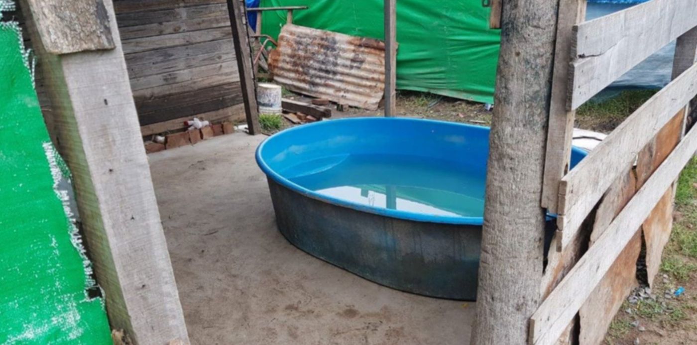 1548932184914.jpg?x=18&scaleY=1&oh=900&scaleX=1&ow=1200&y=24&width=1161&height=581&rotate=0&&cw=1920&ch=950