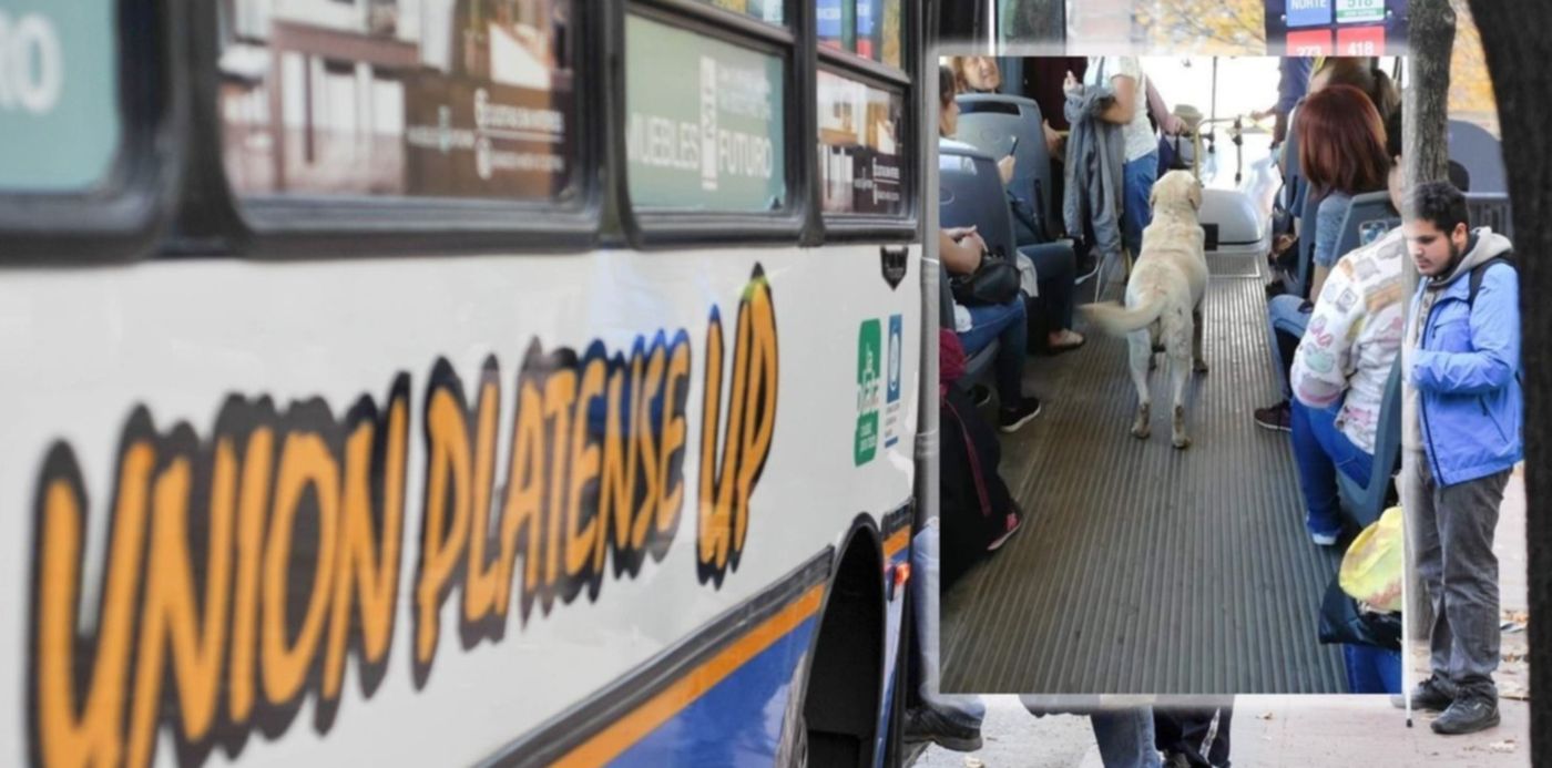 1541686621533.jpg?height=743&scaleX=1&scaleY=1&x=7&y=58&width=1487&rotate=0&ow=1500&oh=843&&cw=1920&ch=950