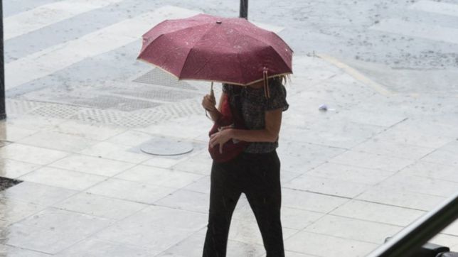 cielo cubierto, lluvias y tormentas: asi estara el clima este fin de semana en la plata