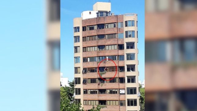 spiderwomen platense: el video de la mujer que arriesga su vida para limpiar los vidrios