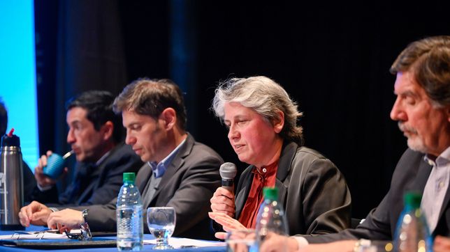 ¿quien es flavia terigi, la flamante titular de educacion elegida por kicillof?