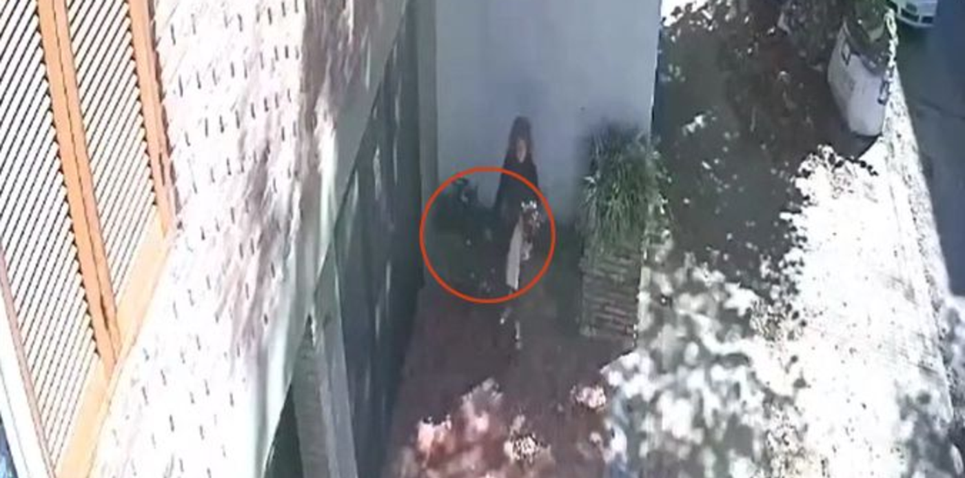 1650982088772.jpg?x=4&y=38&width=676&height=338&rotate=0&scaleX=1&scaleY=1&ow=681&oh=450&&cw=1920&ch=950