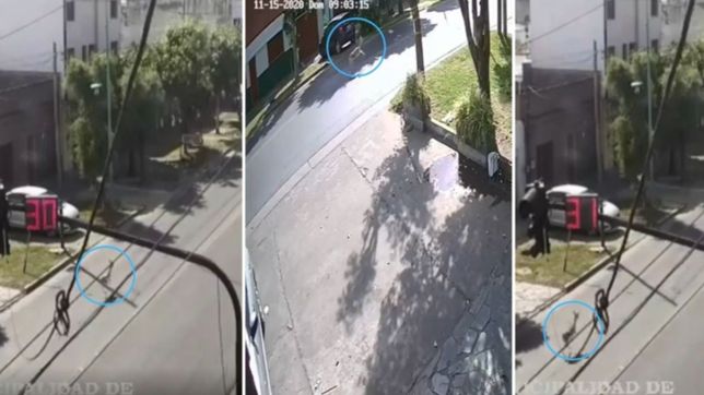 video: las camaras grabaron a un ciervo corriendo sin rumbo por las calles de ensenada