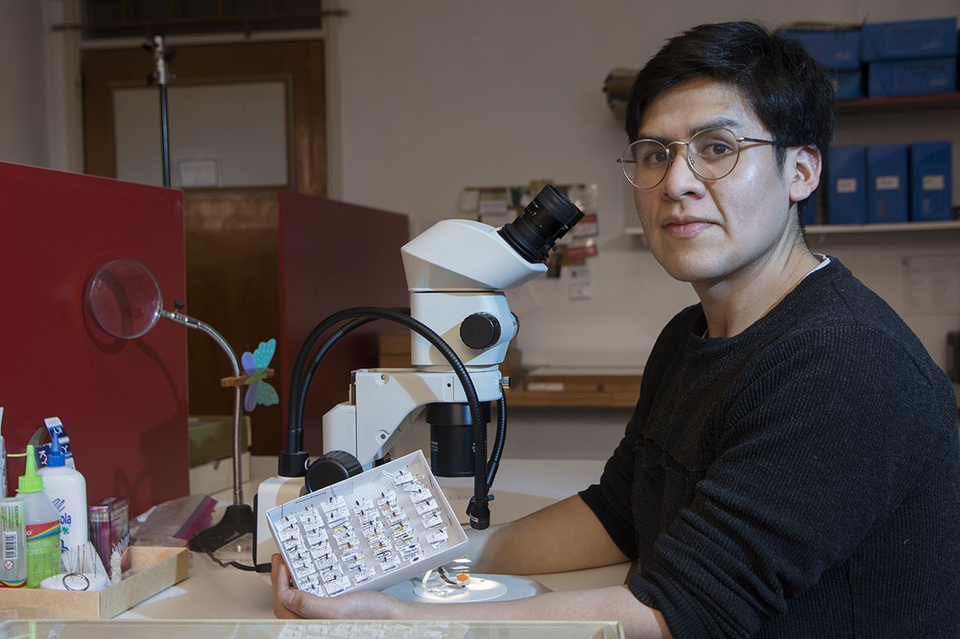 Ts thai laa pretty lady with a nice body and demeanor.