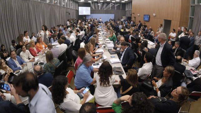 el gobierno consiguio un dictamen de mayoria para la ley omnibus y se votara este jueves